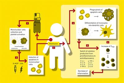 Management of Chronic Graft-vs.-Host Disease in Children and Adolescents With ALL: Present Status and Model for a Personalised Management Plan